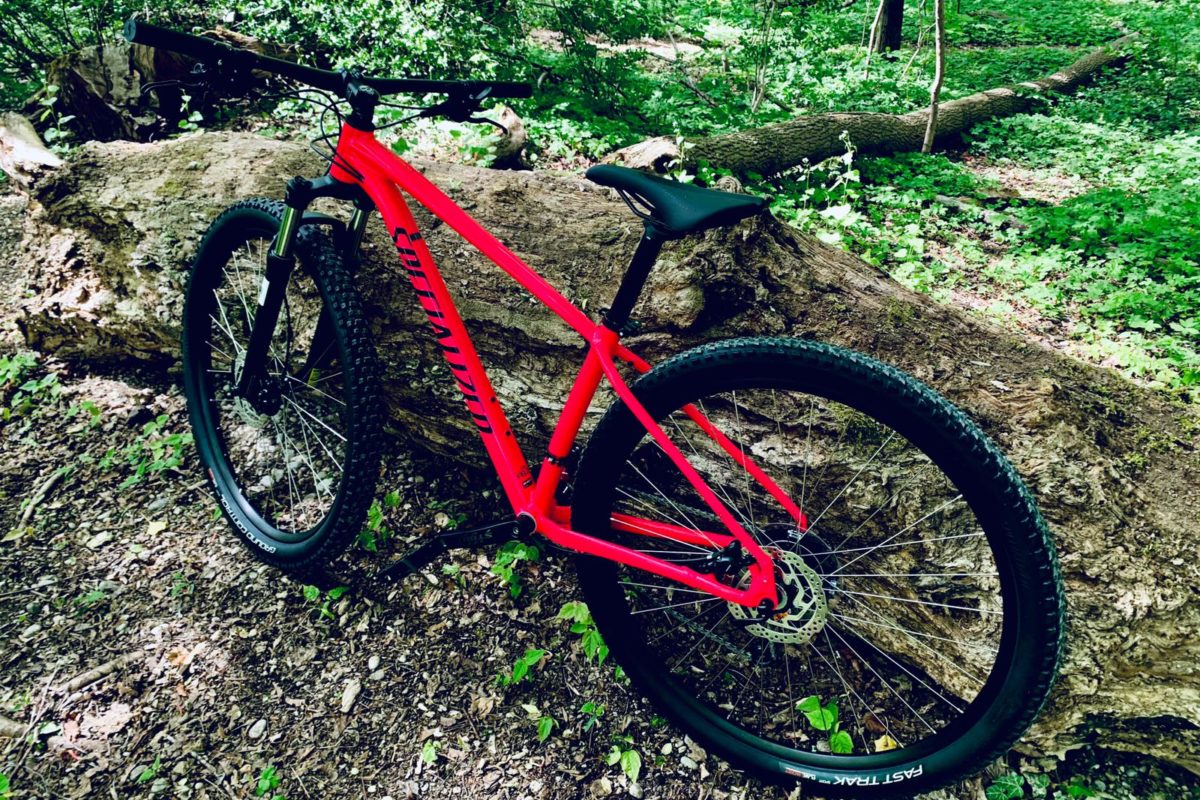 bike specialized rockhopper 2019
