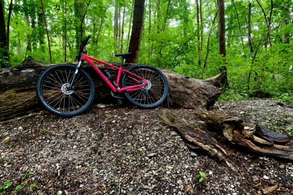 mtb tour munich